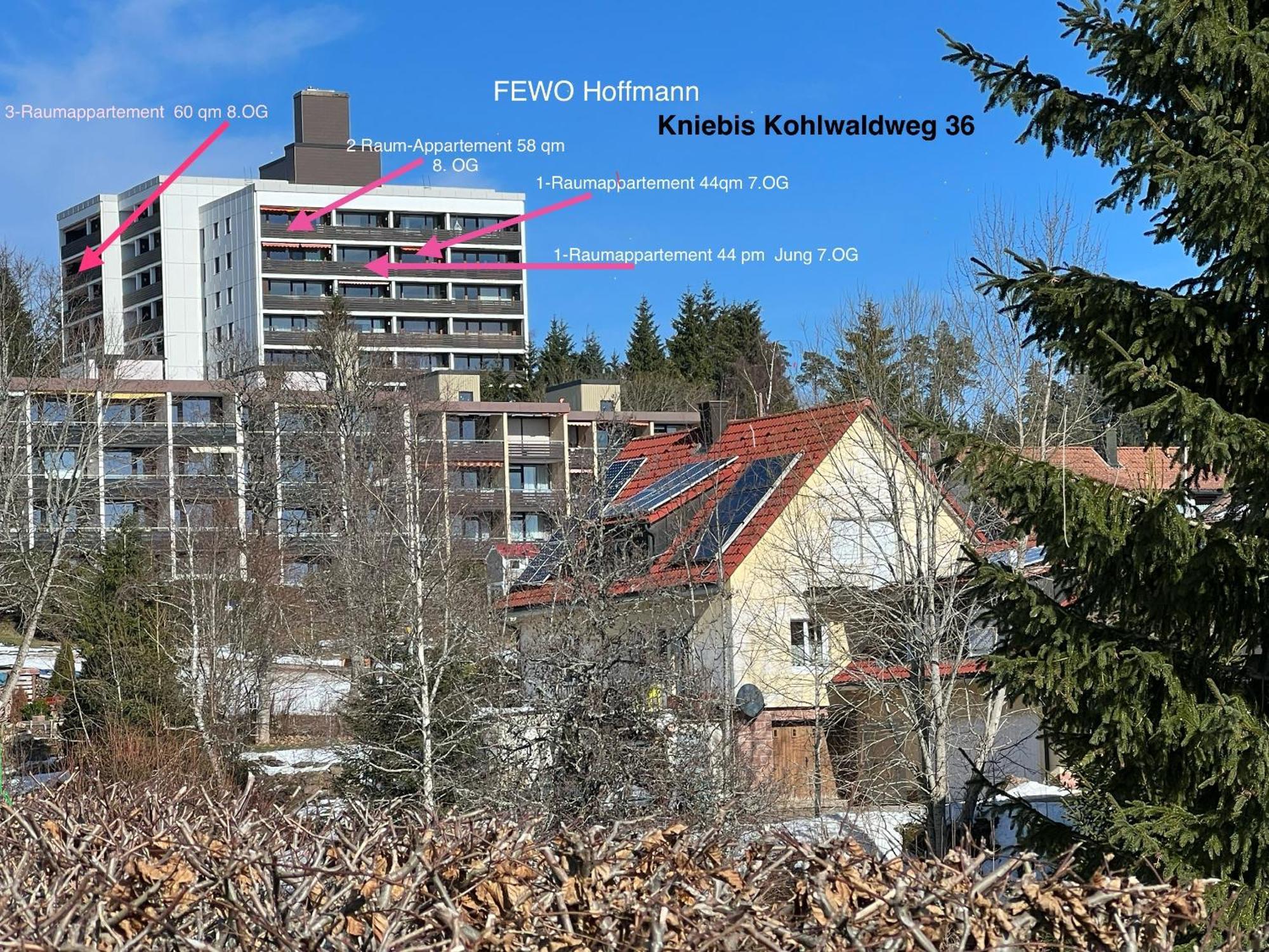 Ein-Raum Appartement Jung Freudenstadt-Kniebis Εξωτερικό φωτογραφία